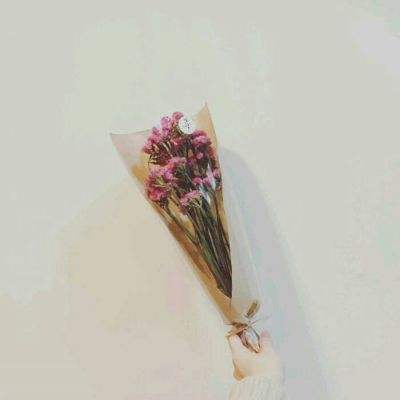 粒子搜索爆衣女神满v变态版下载